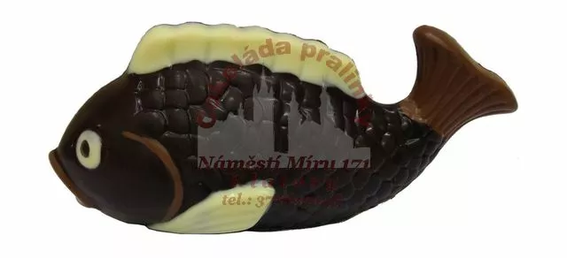 Kapr velký